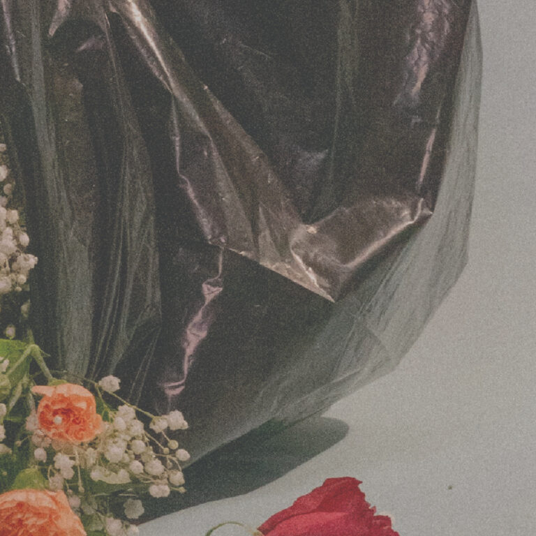 Faithful Friendship | Collective YA